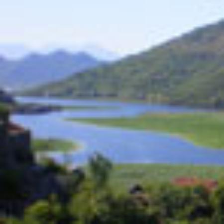 Brasserie la Mandarine